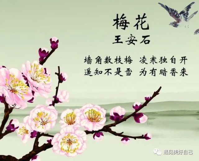 古诗词鉴赏-《梅花》宋.王安石