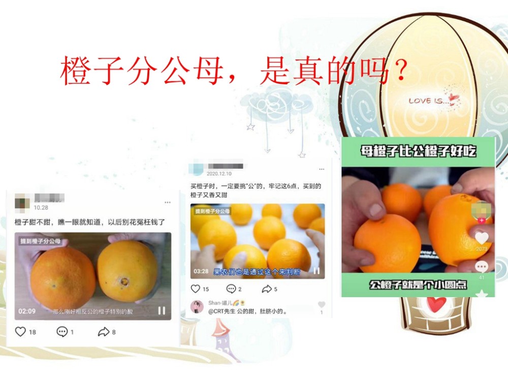 橙子分公母?真相来了