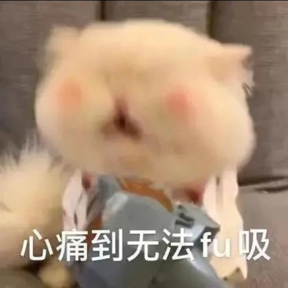 人类高质量表情包果咩那塞