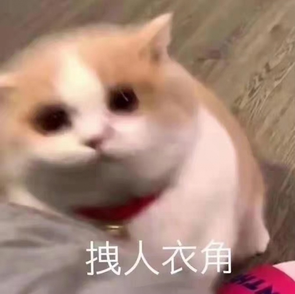 人类高质量表情包果咩那塞
