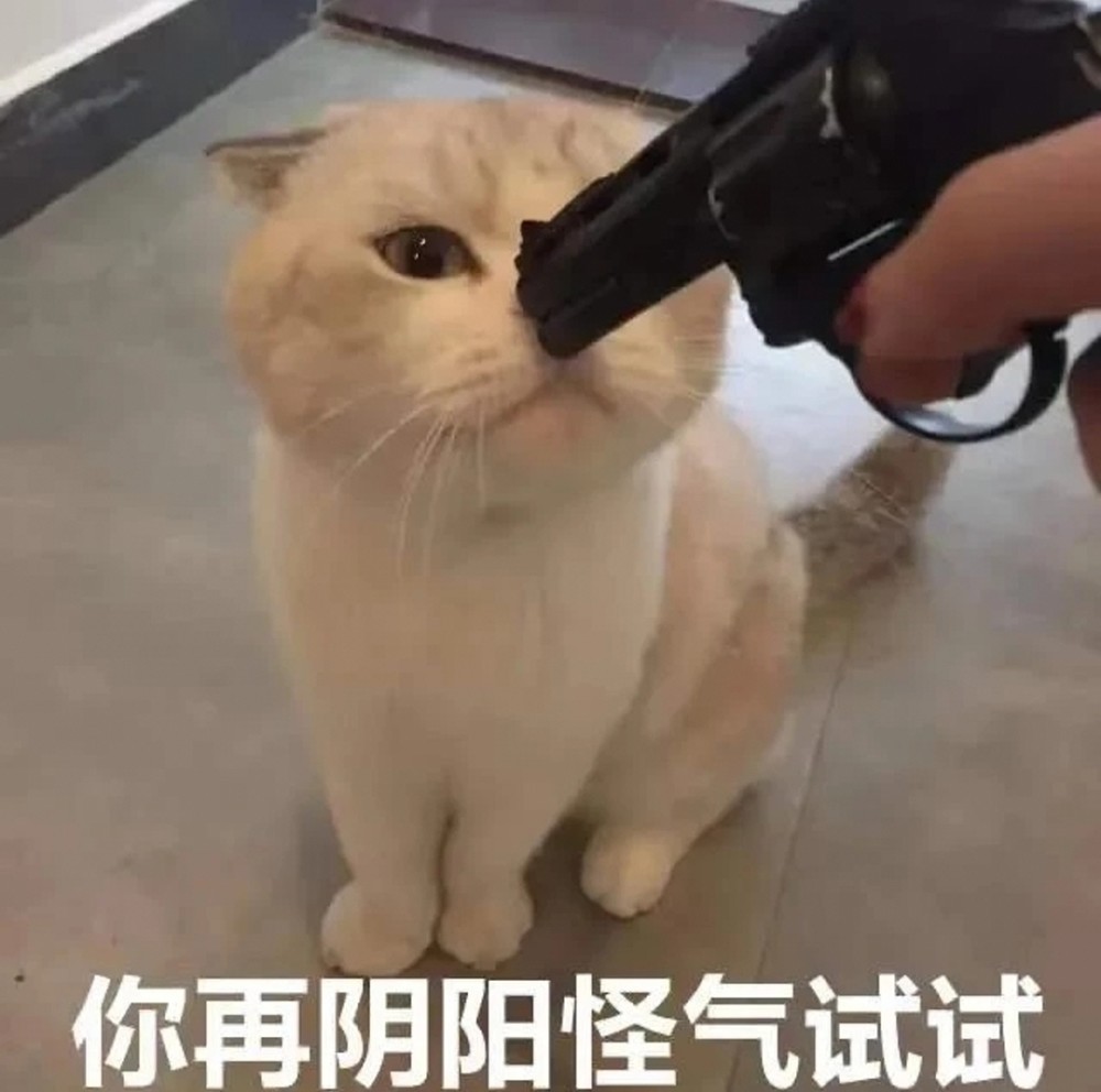 人类高质量表情包果咩那塞