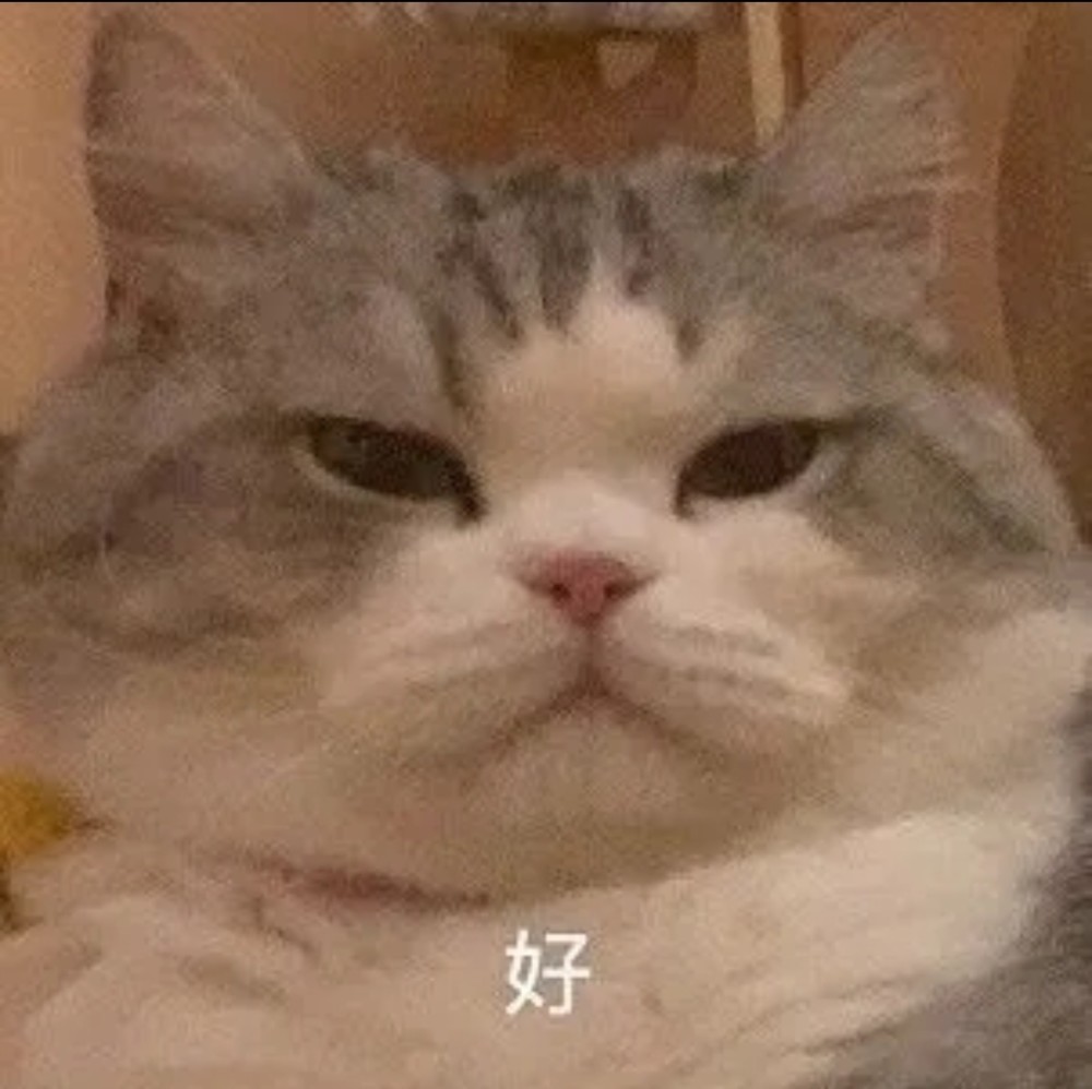 人类高质量表情包果咩那塞