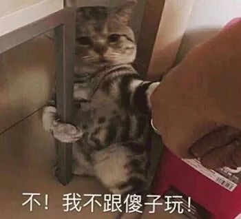 表情包你忙你忙