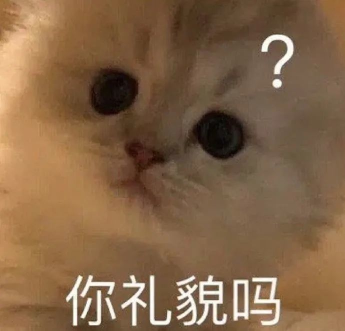 表情包你忙你忙