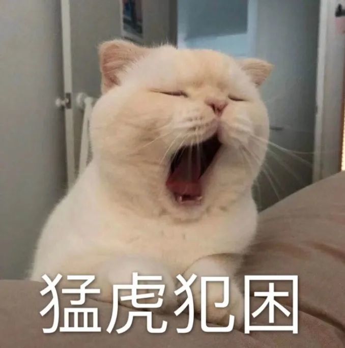 表情包你忙你忙