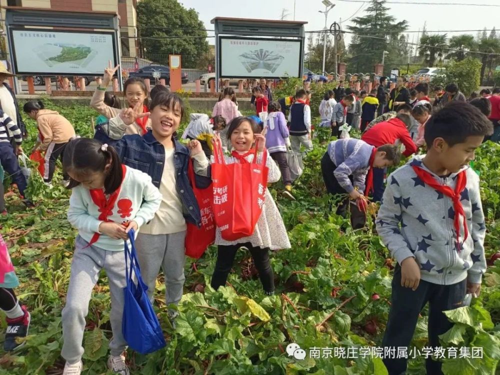 【校园新闻】走进大自然,在生活实践中成长——南京晓庄学院附属小学