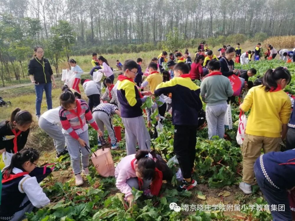 【校园新闻】走进大自然,在生活实践中成长——南京晓庄学院附属小学