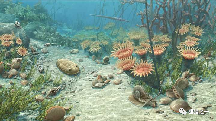 河北公园发现奥陶纪古生物化石群这是什么样的时代有多神秘