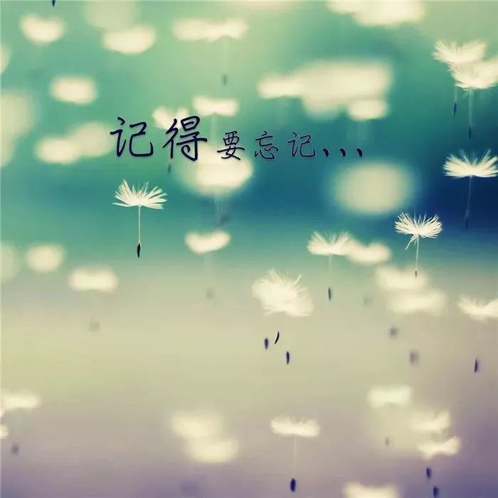 超唯美朋友圈封面图 赶紧收藏