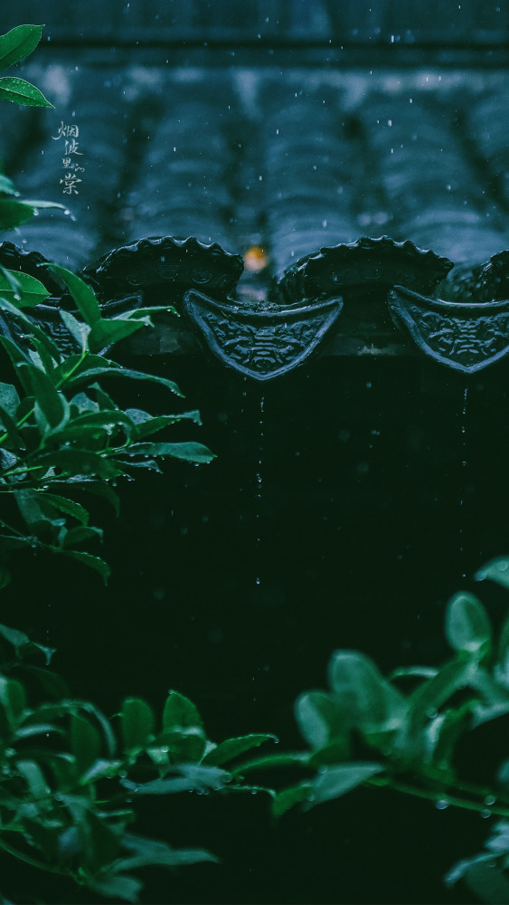 手机壁纸诗意风景图江南的雨