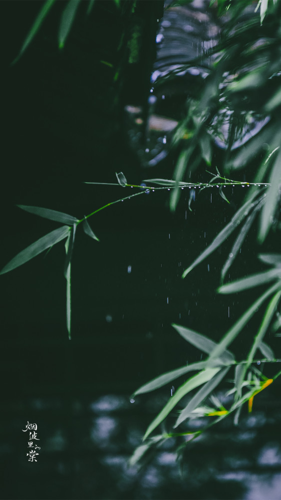 手机壁纸诗意风景图江南的雨