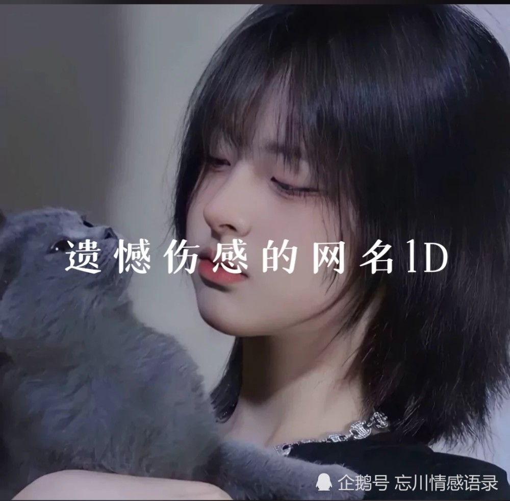 遗憾伤感的网名id