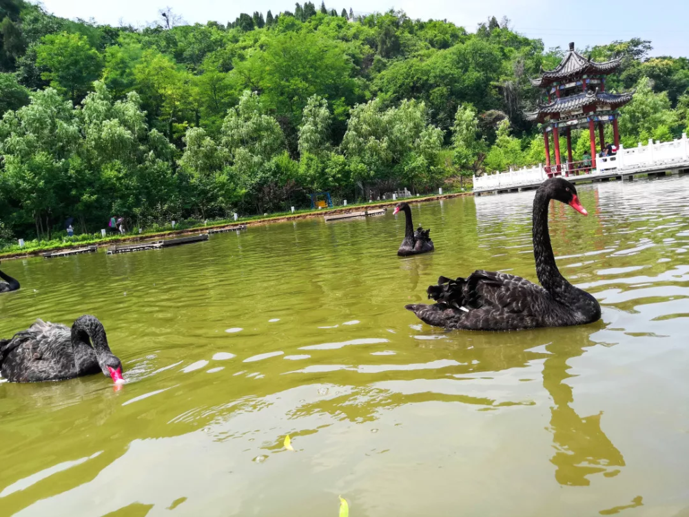 多图预警这是不是你心目中的博山风景区三