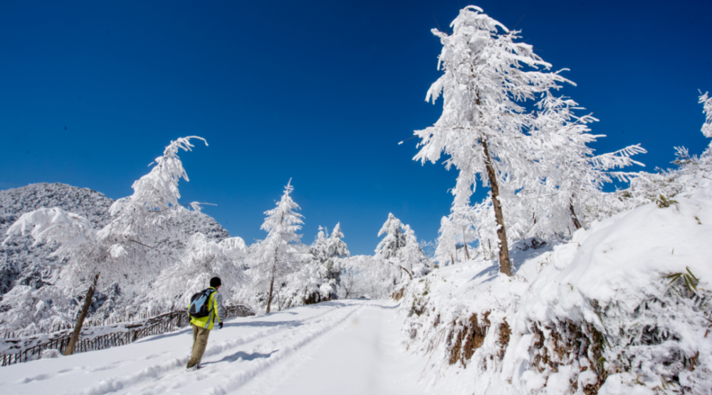镇巴将出现大雪天气,最低温跌至0