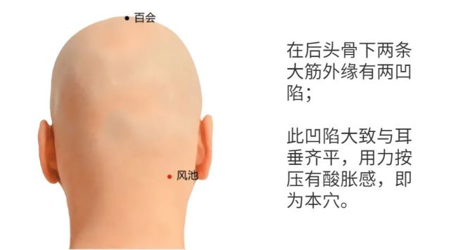 「位置」:在项部,当枕骨之下,与风府相平,胸锁乳突肌与斜方肌上端之间