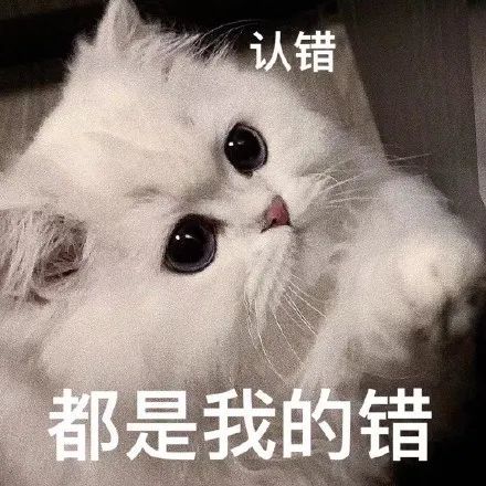 猫咪老公奴老婆奴表情包!