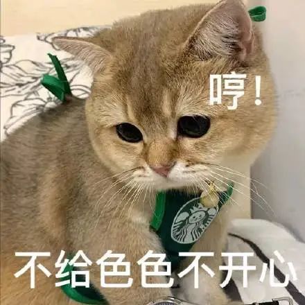 猫咪老公奴老婆奴表情包!