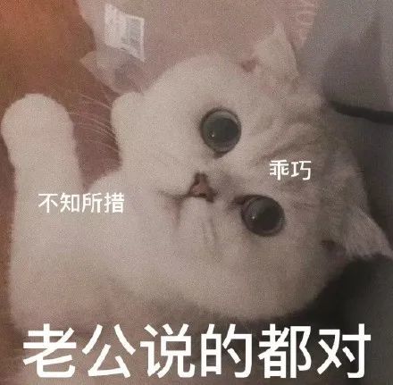 粘人怪系列!猫咪老公奴老婆奴表情包!