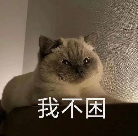 表情包|小煤球猫系列