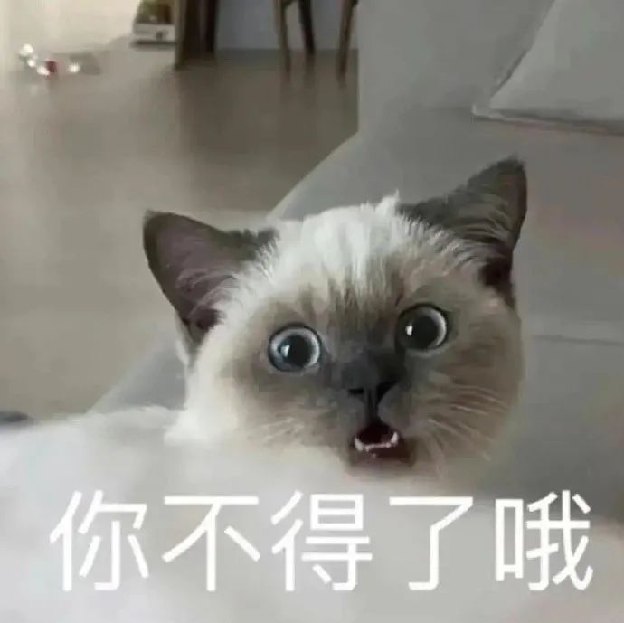 表情包|小煤球猫系列