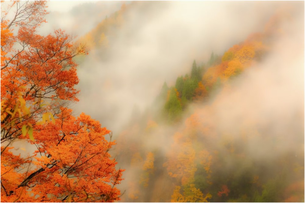 五彩南江 光雾山