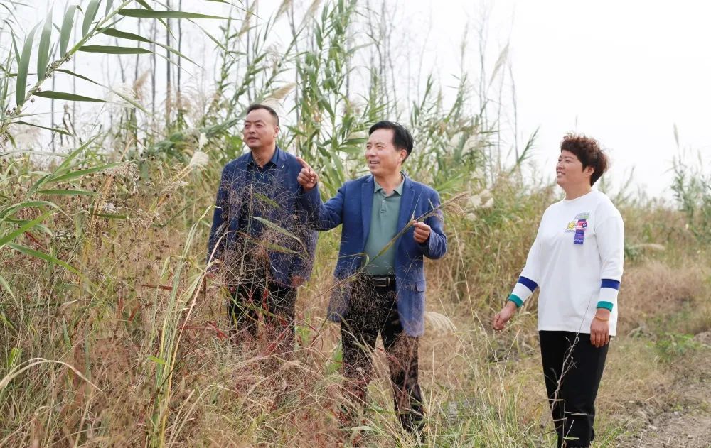 面对此情此景,人们不会忘记村党支部书记邵茂同,是他率先将环境整治