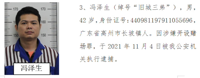 高州打掉 长坡镇 陈洪"坡狗洪"为首的涉黑团伙,请受害