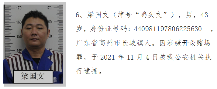 高州打掉 长坡镇 陈洪"坡狗洪"为首的涉黑团伙,请受害