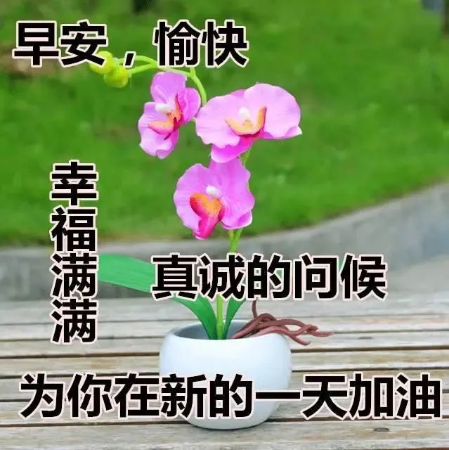 早上好朋友送你一条温馨的短信问候最美动态图片分享与你
