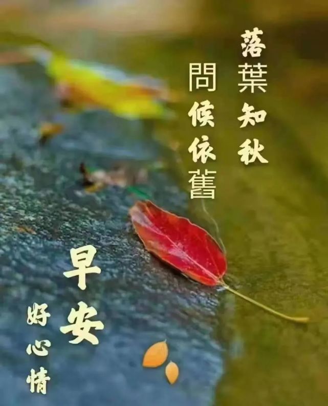 7张最新创意好看早上好健康平安吉祥图片带祝福语,好