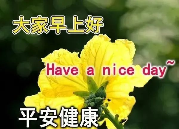 7张最新创意好看早上好健康平安吉祥图片带祝福语唯美早上好表情图片