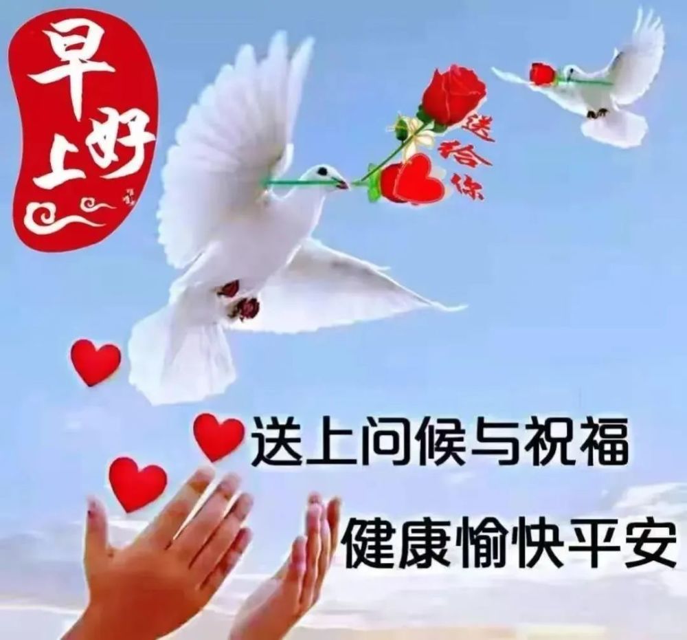 阳光暖心的早安问候图片带表情早上好温馨祝福语句子