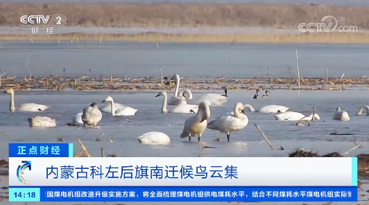 通辽早点2021年11月6日星期六