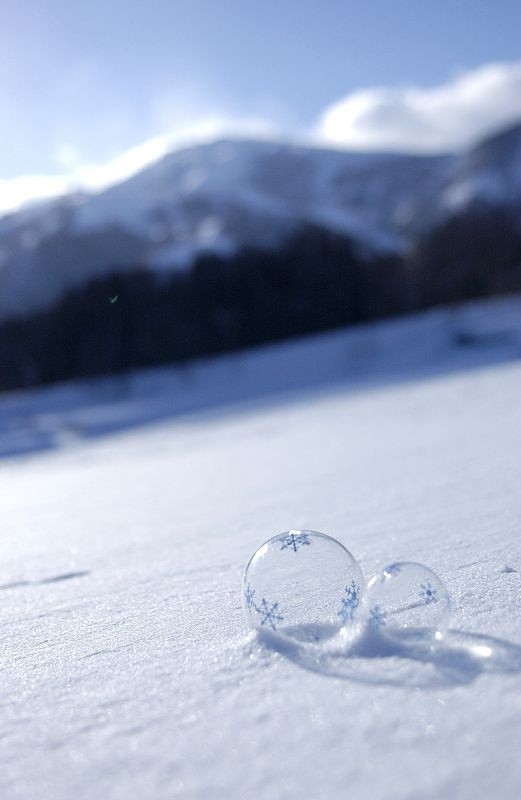 暴雪 大风 寒潮来袭!