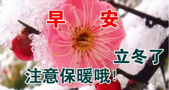 11月07日早上好 | 立冬问候