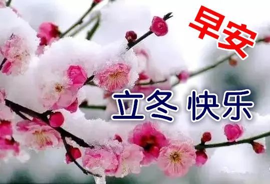 2021年立冬问候祝福语动态表情图片立冬节气问候祝福语大全