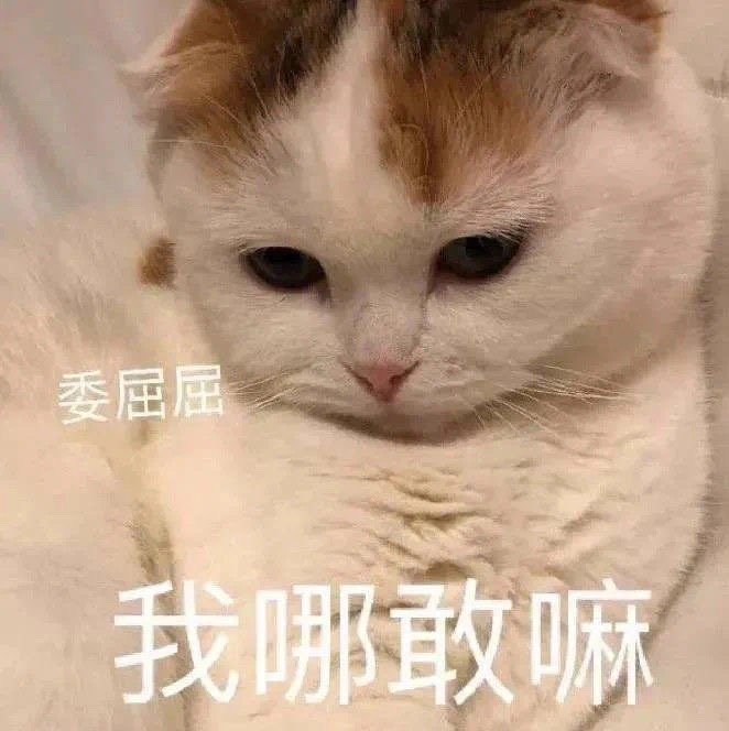 撩老婆专用表情包总有一天会用上
