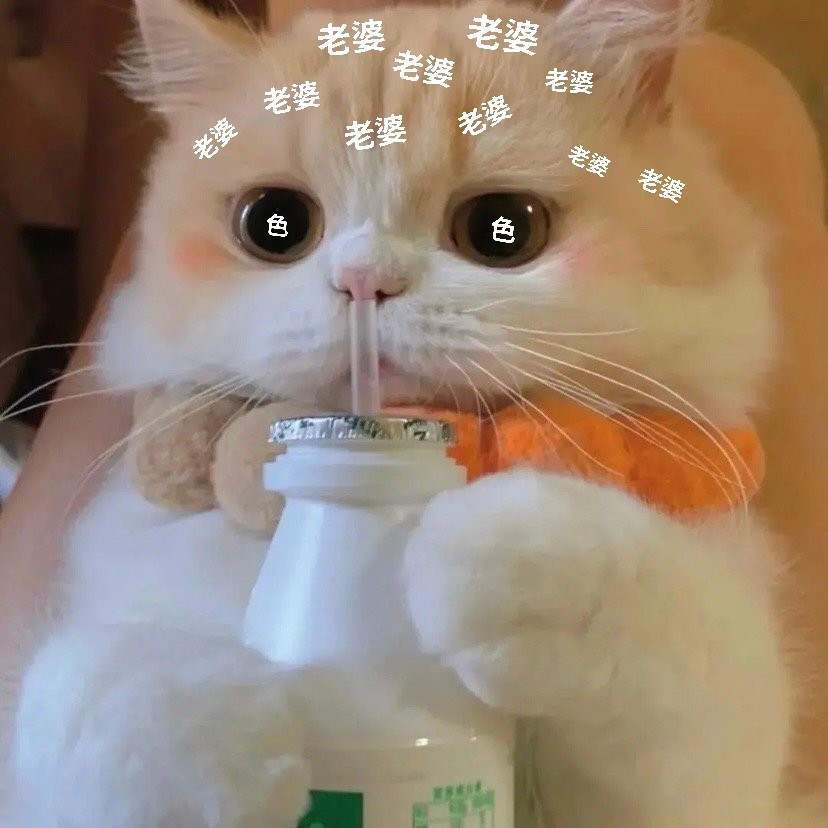 情侣互撩表情包‖我想要老婆