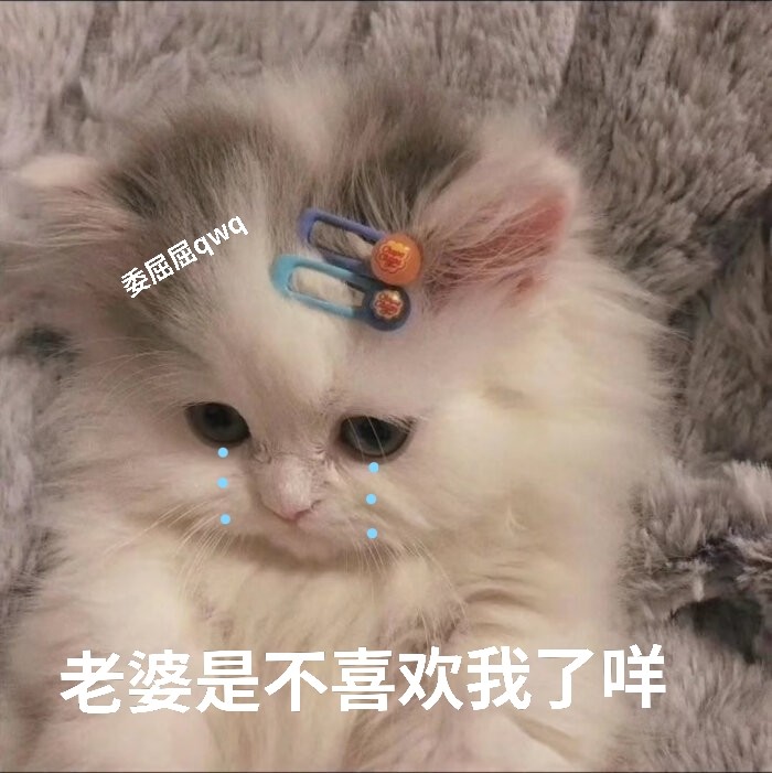 老婆表情包(2)|老婆是不喜欢我了咩