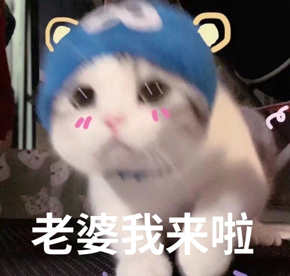情侣互撩表情包我想要老婆