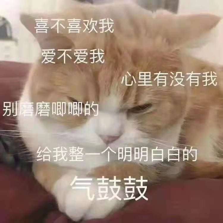 男德必备表情包