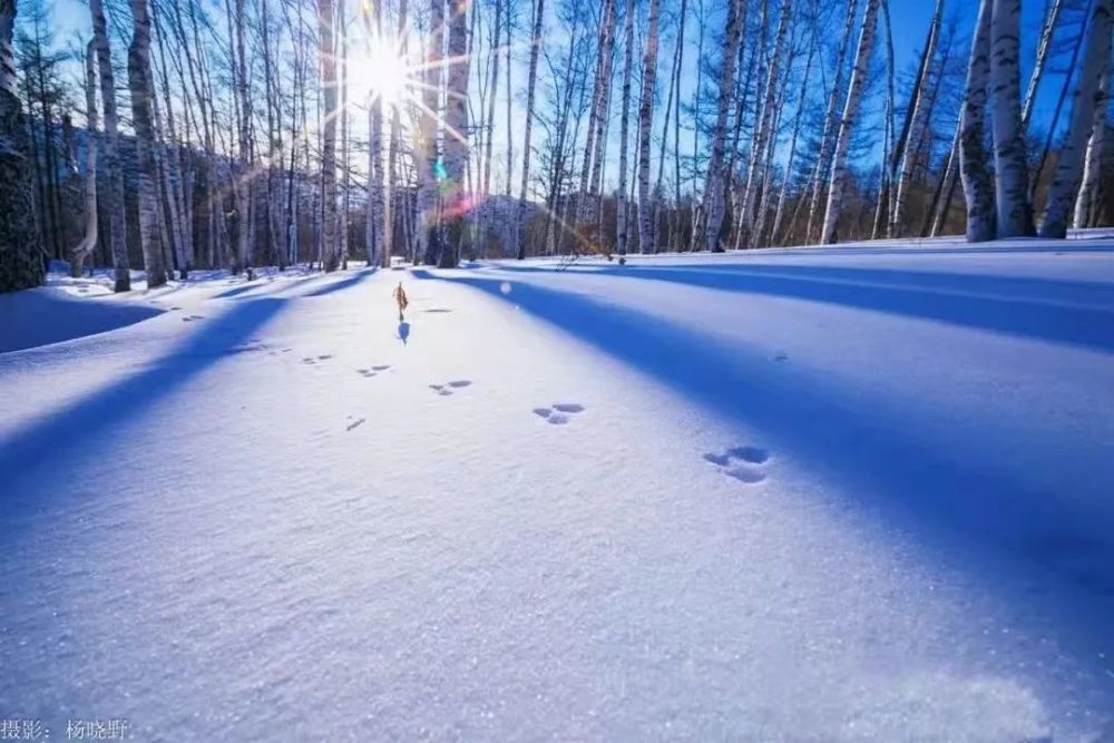 内蒙古大降温迎初雪,你准备好来北方看雪了吗?
