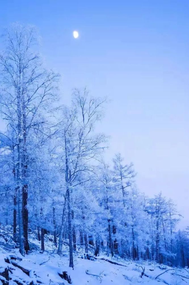 内蒙古大降温迎初雪,你准备好来北方看雪了吗?