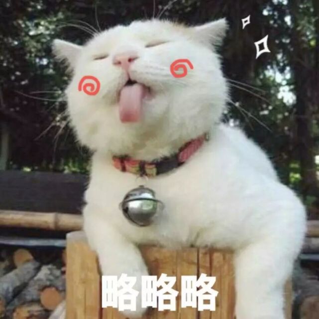 搞笑表情包(第三十九期)猫猫生气