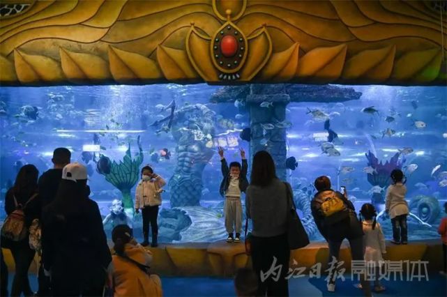 目不转睛内江欢乐海底世界开业后,引入"美人鱼"表演项目,24岁女孩赵