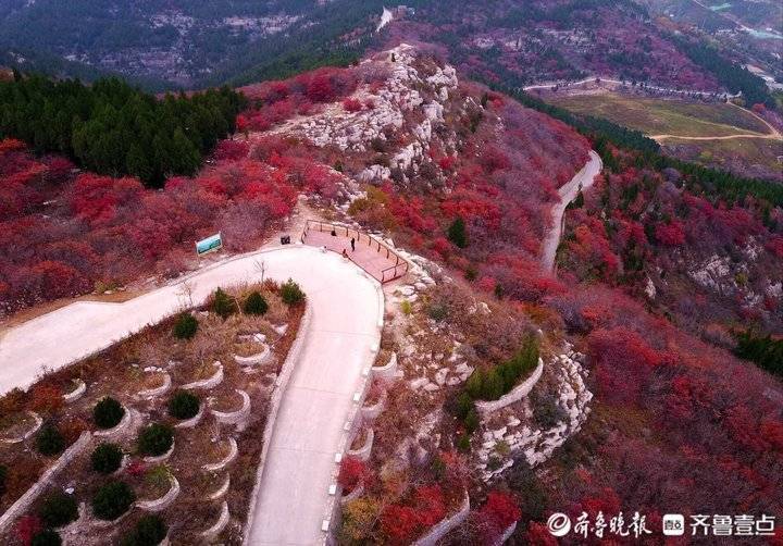 济南东外环"怪坡"处,一座山都红透了