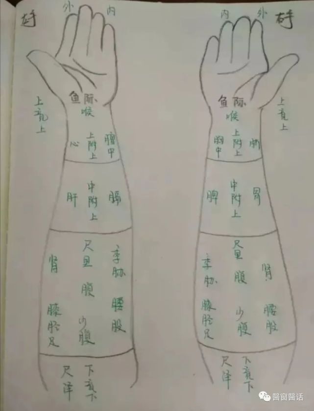 1,脉诊的原理切脉应知脉形成,心血脉肺肝脾肾,宗气肝气脾气助,心阴心