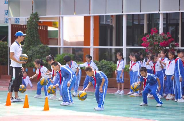 龙华区|小学|作业