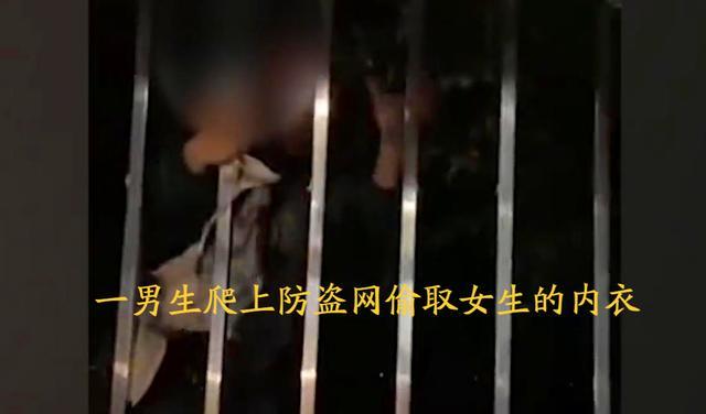 武汉一男生深夜爬女宿舍偷内衣被发现后挑衅女生网友变态