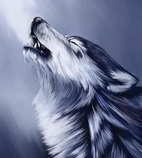 《狼王梦》告诉我们的道理:狼子野心是气魄,更是实力